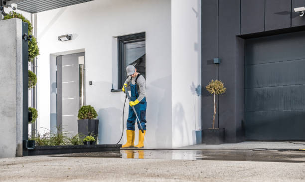 Best Soft Washing  in Schulenburg, TX